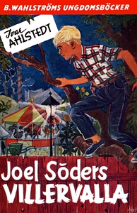 Joel Söder 5 - Joel Söders Villervalla (e-bok)