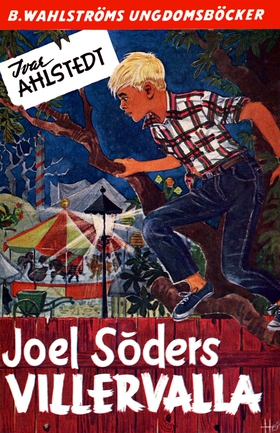 Joel Söder 5 - Joel Söders Villervalla (e-bok) 
