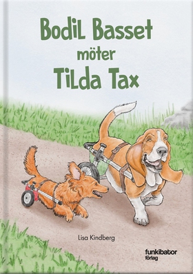 Bodil Basset möter Tilda Tax (ljudbok) av Lisa 