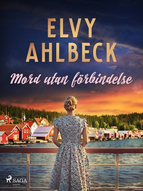 Mord utan förbindelse (e-bok) av Elvy Ahlbeck