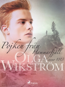 Pojken från Hammarfjäll : anno 1813 (e-bok) av