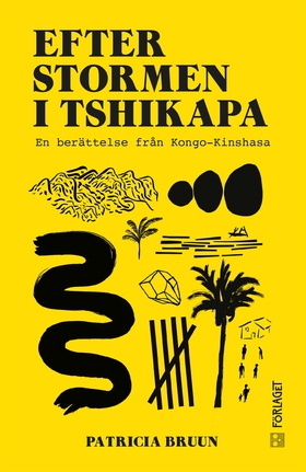 Efter stormen i Tshikapa (e-bok) av Patricia Br
