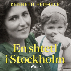 En shtetl i Stockholm (ljudbok) av Kenneth Herm