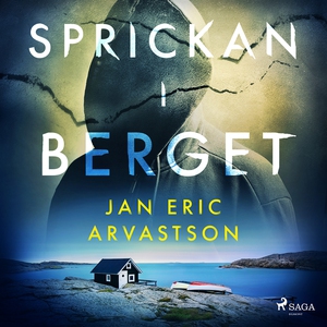 Sprickan i berget (ljudbok) av Jan Eric Arvasts