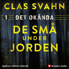De små under jorden (ljudbok) av Clas Svahn