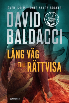 Lång väg till rättvisa (e-bok) av David Baldacc