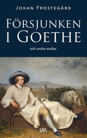 Försjunken i Goethe och andra essäer (e-bok) av
