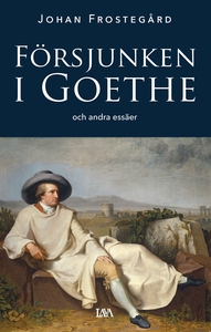 Försjunken i Goethe och andra essäer (e-bok) av