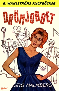 Drömjobbet (e-bok) av Stig Malmberg