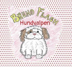 Bruno Flash Hundvalpen (e-bok) av Lisa Bengths