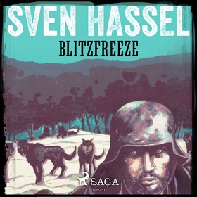 Blitzfreeze (ljudbok) av Sven Hassel