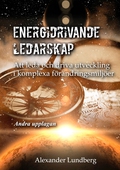 Energidrivande ledarskap: Att leda och driva utveckling i komplexa förändringsmiljöer