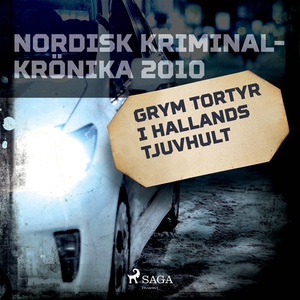 Grym tortyr i Hallands tjuvhult (ljudbok) av Di