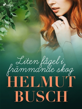Liten fågel i främmande skog (e-bok) av Helmut 