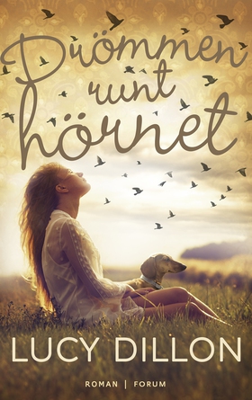 Drömmen runt hörnet (e-bok) av Lucy Dillon