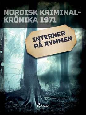 Interner på rymmen (e-bok) av Svenska Polisidro