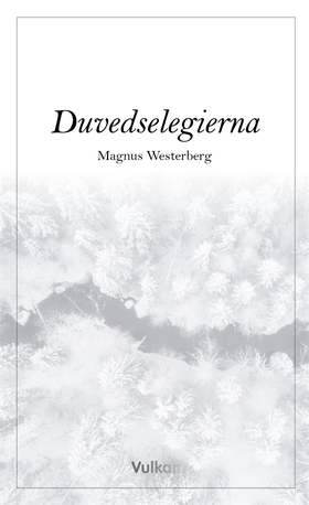 Duvedselegierna (e-bok) av Magnus Westerberg