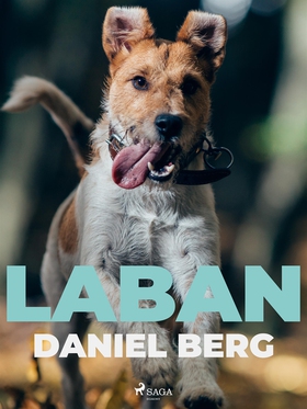 Laban (e-bok) av Daniel Berg