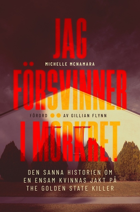 Jag försvinner i mörkret (e-bok) av Michelle Mc
