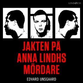 Jakten på Anna Lindhs mördare (ljudbok) av Edva