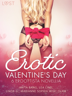 Erotic Valentine's Day - 6 eroottista novellia 