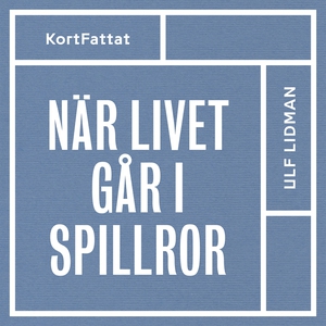 När livet går i spillror – Om sorg och livskris
