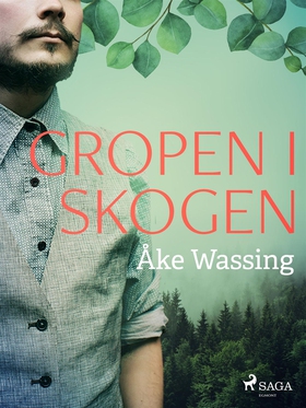 Gropen i skogen (e-bok) av Åke Wassing
