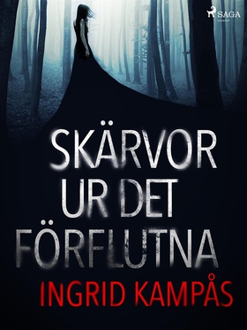Skärvor ur det förflutna (e-bok) av Ingrid Kamp