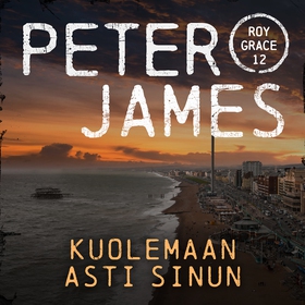 Kuolemaan asti sinun (ljudbok) av Peter James