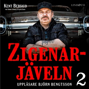 Zigenarjäveln. Del 2: 1986-2018 (ljudbok) av Th