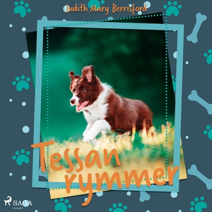 Tessan rymmer (ljudbok) av Judith Mary Berrisfo