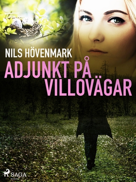 Adjunkt på villovägar (e-bok) av Nils Hövenmark