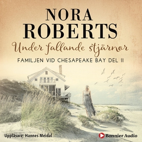 Under fallande stjärnor (ljudbok) av Nora Rober