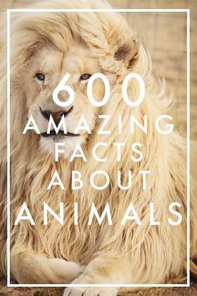 600 Amazing Facts About Animals (Epub2) (e-bok)