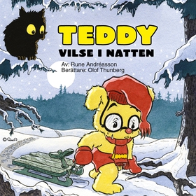 Teddy vilse i natten (ljudbok) av Rune Andréass