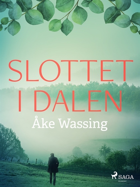 Slottet i dalen (e-bok) av Åke Wassing
