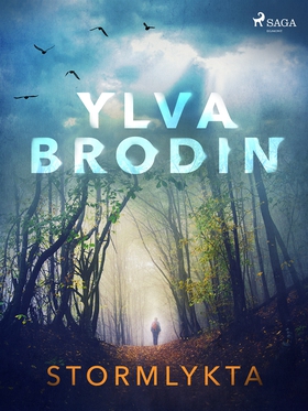 Stormlykta (e-bok) av Ylva Brodin