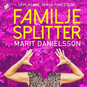 Familjesplitter (ljudbok) av Marit Danielsson