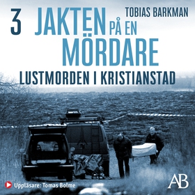 Lustmorden i Kristianstad (ljudbok) av Tobias B