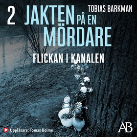 Flickan i kanalen (ljudbok) av Tobias Barkman