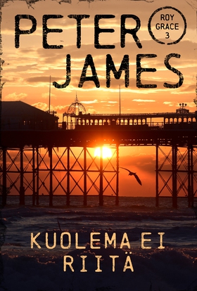 Kuolema ei riitä (e-bok) av Peter James