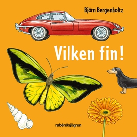 Vilken fin! (e-bok) av Björn Bergenholtz