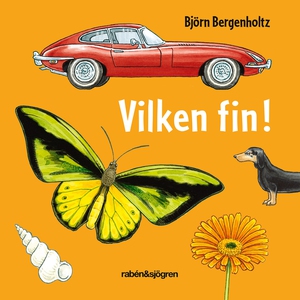 Vilken fin! (e-bok) av Björn Bergenholtz