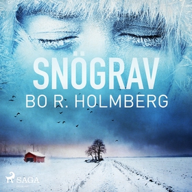 Snögrav (ljudbok) av Bo R. Holmberg