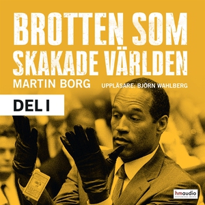 Brotten som skakade världen, del 1 (ljudbok) av