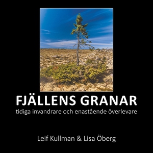 Fjällens granar: tidiga invandrare och enaståen