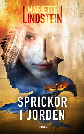 Sprickor i jorden (e-bok) av Mariette Lindstein