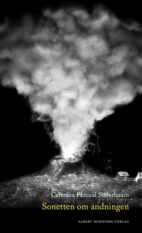 Sonetten om andningen : Noveller (e-bok) av Caterina Pascual Söderbaum