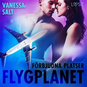 Förbjudna platser: Flygplanet (ljudbok) av Vane