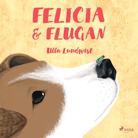 Felicia och flugan (ljudbok) av Ulla Lundqvist